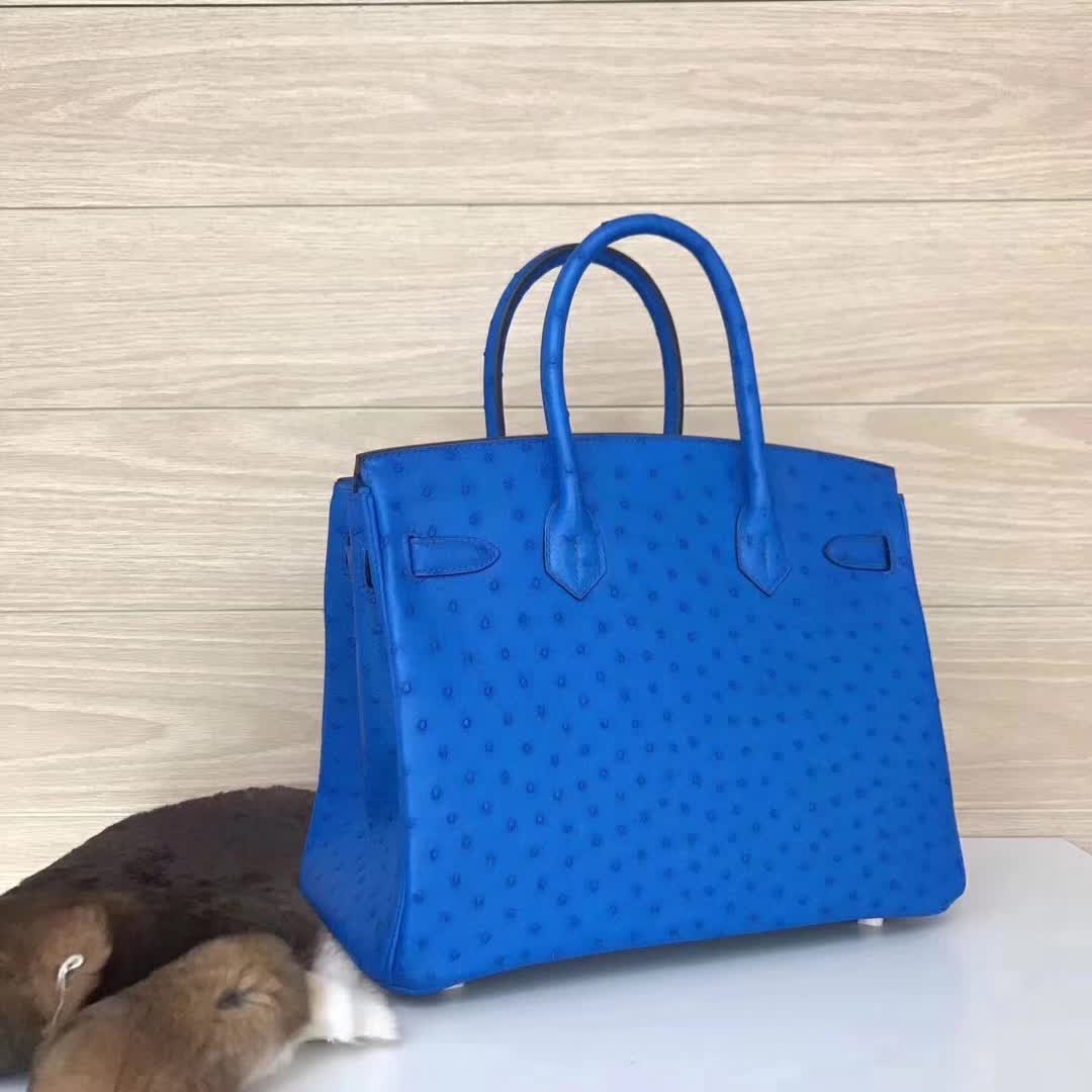 Hermes Birkin Bags